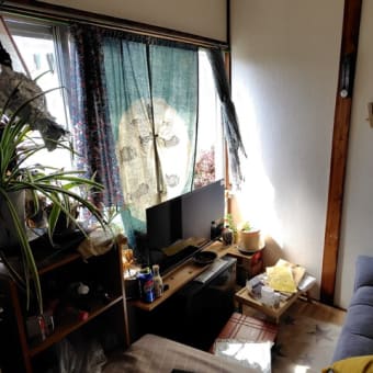 ほとんど料理の画像集