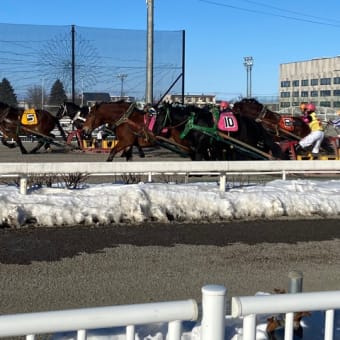 ばんえい競馬