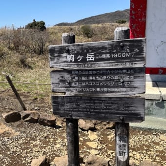 先週の出来事