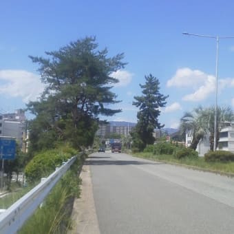 真夏日2025年６月