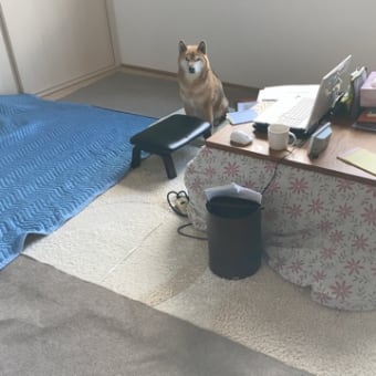 和室で仕事｜帯状疱疹は痛さが増してきた