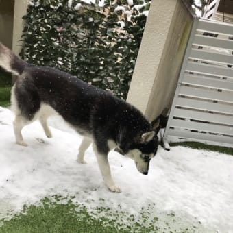 ❄️
