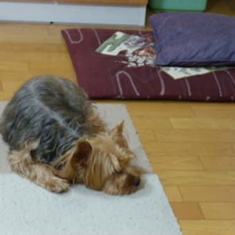 なまくらなまくら