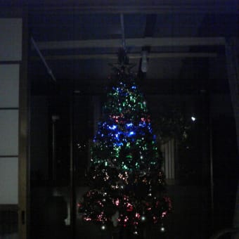 クリスマスツリーの点灯