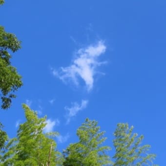 梅雨明け