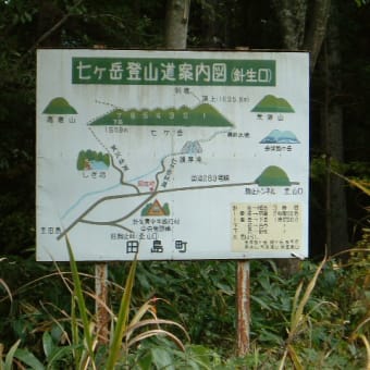 行ってきました。