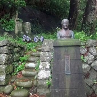 伊豆諸島８島制覇の旅《後編》　八丈島・御蔵島・三宅島・伊豆大島４島めぐり　１０回目　御蔵島