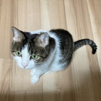 急に寒くなってきました。