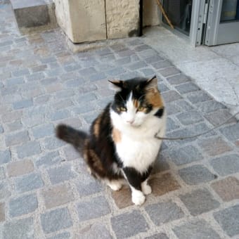 マルタ旅行番外編　１