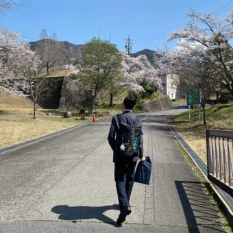 桜満開の入学式