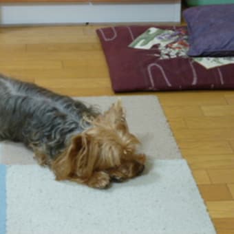 なまくらなまくら