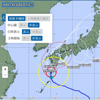 またまた迷走