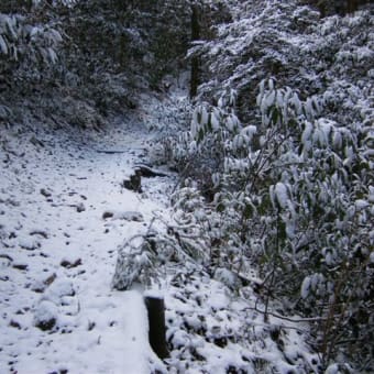 雪の季節の岩湧　2009年12月18日