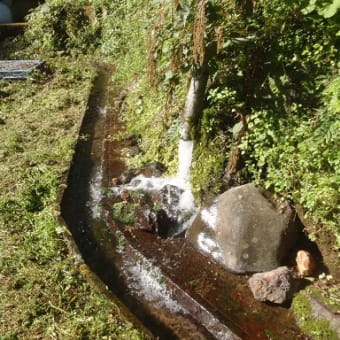 箱根水源地清掃　ボランティア活動