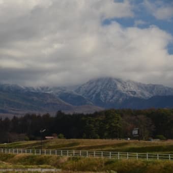 八ヶ岳初冠雪の日、おいしい寒さを野沢菜に漬ける。