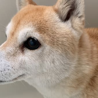 久々のお風呂
