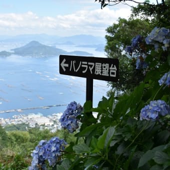 客船のみで一日が終わる予定だったのですが、、、（花火も、、、）（笑）