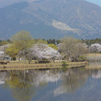 一日遅れで更に在庫の投稿で失礼します～(^_^;)
