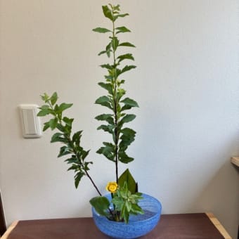 晴れ　時間は限られている