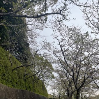 久々のお散歩