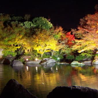 好古園のライトアップ
