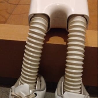 ムスメの帰省は厄だらけ💧