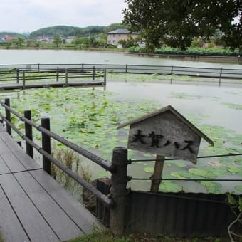 ちょっと寂しい