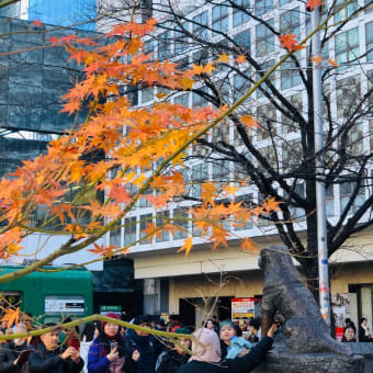 渋谷