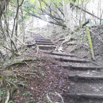 大山で修行