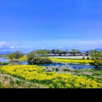 西部公園
