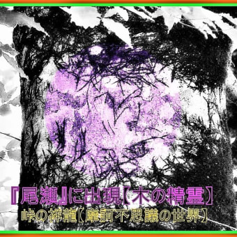 🐉🌈〖尾瀬〗ブナ大木に可愛い【✨精霊✨】出現❢❢