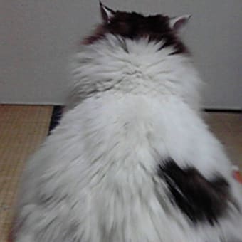 2月になりましたね。