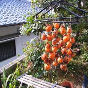 甲州丸：干し柿作り