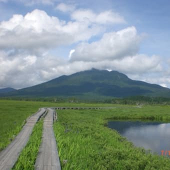 夏の思ひ出１（尾瀬）