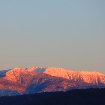 赤早池峰