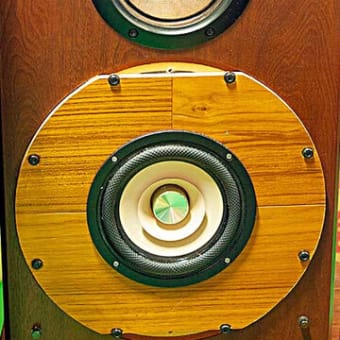 TangBand. W6-2144  16cmフルレンジ　SPユニット Tang Band W6-2144 - 6.5″ Full-range 8Ω