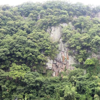 大山ダム上流の田来原へ植樹の標柱建て込みに１泊してきました。【その１】