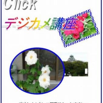 はがき