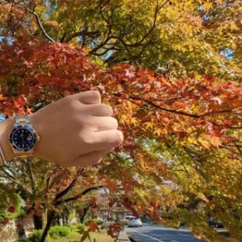 私の一週間(腕時計)秋色探し🍁