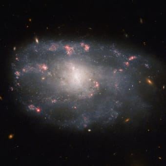 「NGC 5486」　ハッブル宇宙望遠鏡が撮影した“おおぐま座”方向1億1000万光年先の渦巻銀河
