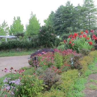 「神のいのち」（２７）