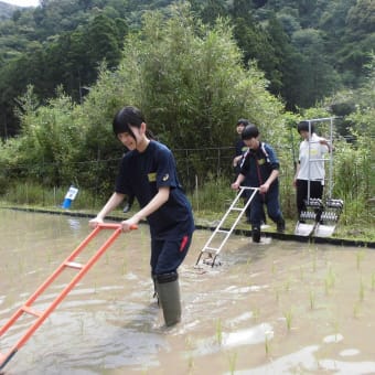 除草作業ありがとうございました。
