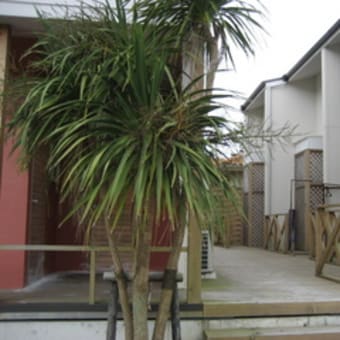 ***Share house***
