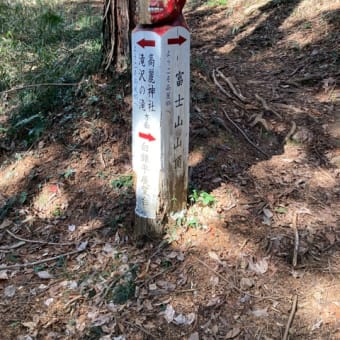 高麗駅から日和田山、物見山、富士山へ