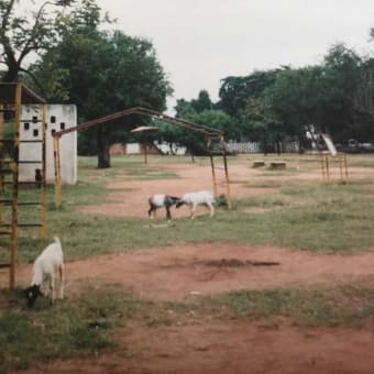 【タンザニア消防事情調査】及び「ごみ処理場跡地調査」（3/3）Dar es Salaam, Tanzania  （写真整理No.１２） ODA / TICAD