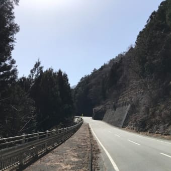 今川峠～一ノ瀬林道