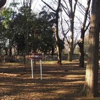 砧公園と内井昭蔵