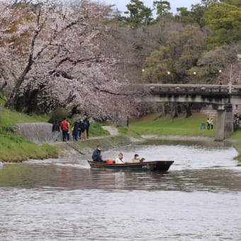 おかざき公園と名鉄電車