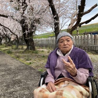 桜のお花見ツアー　-後編-