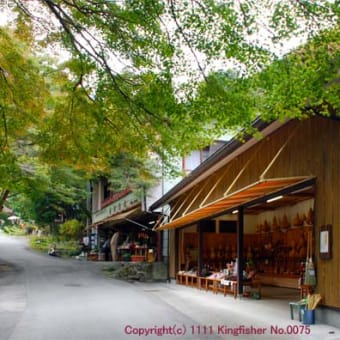 養老の滝